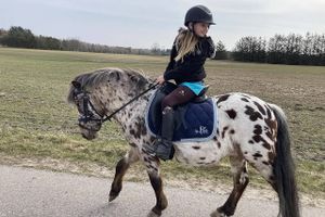 Hvad der skulle være en hyggelig ridetur, udviklede sig til noget helt andet for Kirstine Quaade Zederkof og hendes 11-årige datter.