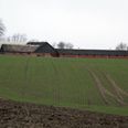 Her på gården planlægges et hundecenter med op til 60 hunde. Det gør flere naboer urolige. Foto: Kian Johansen