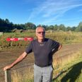 For 41 år siden anlagde Søren Gerstrøm motocrossbanen i Petersmindeskoven trods vrøvl med milimeterdemokratiske politikere og røvslikkende miljømedarbejdere i den daværende Midtdjurs Kommune. Foto: Lars Norman Thomsen