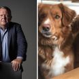 Beauty er hunden længst til højre. Foto: Finn Frandsen/Ritzau Scanpix / Lars Løkke Facebook