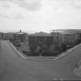 Strandparken set fra Marselisborg Allé. Foto: Stadsarkitektens Kontor, 1953, Aarhus Stadsarkiv