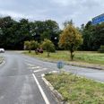 Indkørslen til Kolind fik en makeover i weekenden på privat initiativ. Gad vide, hvad biodiversitetsfolket vil sige til det? Foto: Bent Nielsen
