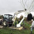 Der blev løftet med stor forsigtighed, da det lysende egetræ skulle sættes på plads i Thorsø.