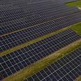 Økonomi- og Erhvervsudvalget har valgt at gå videre med fem vedvarende energiprojekter: to solcelleanlæg, et hybridanlæg og tre vindmølleprojekter. Foto: Finn Frandsen/Ritzau Scanpix