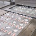 Pillerne mod corona skal give en ekstra beskyttelse mod alvorlig sygdom og indlæggelse for særligt sårbare og tages fem dage efter første symptom. Foto: Photo by Pfizer/AFP