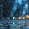 Foto: Adobe Stock