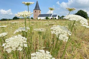 Et fem hektar stort område syd og vest for Haldum Kirke vil over de kommende år udvikle sig til naturkirkegård.