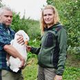 Vær med til at slagte din egen julegås på Kalø Økologisk Landbrugsskole 16. Oktober. Pressefoto