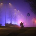 Politiet fandt patroner i går aftes på Hasle Ringvej. Foto: ØXENHOLT FOTO