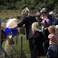 Hver dag i sommerferien inviterer Det Grønne Museum gæsterne med på foderrunde blandt de gamle danske husdyrracer. Pressefoto