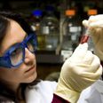 Scientist is checking the color change of a reaction in a test tube