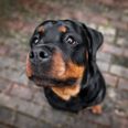 Foto: Adobe Stock
