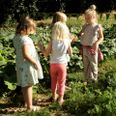 Det er Djursland Landboforening, der står bag skolehaven på Toubroskolen i samarbejde med 4H ”Fælleshaver – Endnu flere 4H Haver”. Det er landboforeningens anden fælleshave, og begge projekter er hjulpet godt på vej med en pose penge. Midlerne er bevilget af Nordea-fonden og Friluftsrådet. Pressefoto