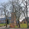 De høje træer foran Hammel Kirke. I papirerne fra dengang fremgår, at det skulle være elmetræer. Flere lokale er nu mere overbevist om, at det er de viste kastanjetræer. Nogle af dem boede tilsyneladende også i kirketårnet. Fotos Erling Baastrup.