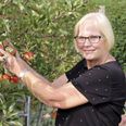 "En god historie kan bruges pædagogisk overfor et barn, som er bange for noget," mener Kirsten Høeg. Foto: Wulff