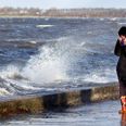 Fredag kan blive en ret blæsende dag i Danmark. Foto: Jens Dresling/Politiken/Ritzau Scanpix