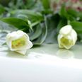Foto: Adobe Stock
