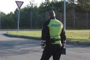 Der skete ingen personskade, da lastbil påkørte hæk ved Houlbjerg.