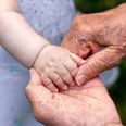 Familieterapeut give gode råd til, hvor meget bedsteforældre kan blande sig i opdragelse. Modelfoto: Adobe Stock
