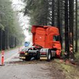 Lastbil kørte frontalt ind i træ. Foto: Presse-fotos.dk