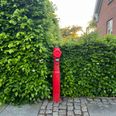 Det er en fyr som denne opretstående røde brandhane, man nu vil fjerne i både Norddjurs og Syddjurs – sammenlagt 444 stykker – fordi de har aftjent deres værnepligt og samtidig udgør en kilde til forurening af drikkevandet. Foto: Cecilie Bisgaard
