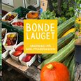 Bondelaugets markeder tiltrækker lokale borgere, der nyder friske, uforarbejdede råvarer direkte fra nærområdets landmænd. Foto: Bondelauget