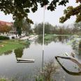 Krohave er druknet i vand.