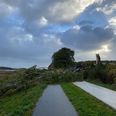 Brabrandstien søndag morgen var spærret foran kolinihaverne ved Søholmvej. Foto: Sigurd Rubin