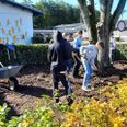 Blomstrende urter, vilde, danske blomster og løgplanter vil præge bedet fremover. Pressefoto