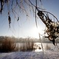 Vi går snart ind i vinterens sidste måned. Foto: Jens Dresling/Ritzau Scanpix