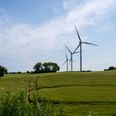 Skanderborg vil stadig være selvforsynende med grøn el i 2030, men lokal modstand, usikkerhed om elnettet og politisk uenighed skaber modvind. Foto: Per Bille