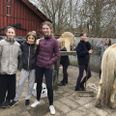 Pigerne på Holme Vestergård har i lang tid været påvirket af, at de skulle miste deres heste - og veninder, hvis hele klubben skulle flytte på Holme Skole. Men klubben er reddet og pigerne kan blive ved deres heste.