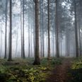 Foto: Adobe Stock