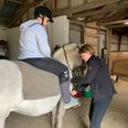En håndfuld kræftramte borgere har med kommunalt tilskud deltaget i et ridetilbud hos Rideskolen Skovfryd. Foto: Favrskov Kommune