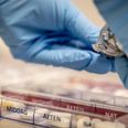 Ifølge rapporten har hjemmeplejen håndtering af medicin haft "større problemer af betydning for patientsikkerheden". Foto: Mads Claus Rasmussen/Ritzau Scanpix