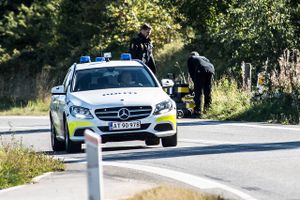 Manden sprang ud fra en busk og onanerede foran pigerne.