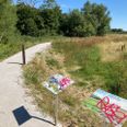Skiltene ved Lilleåen er blevet smidt i åen to gange, og senest er de blevet malet med graffiti. Foto: Anette Bonde.