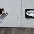 Jubilæet fejrer SkatePro med gratis kage i deres to butikker samt gode tilbud på hjemmesiden 1. november. Arkivfoto: Michael Wulff