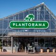 Det er hos Plantorama, der bliver givet ud af gratis el på fredag. Foto: Joachim Ladefoged/Ritzau Scanpix
