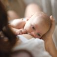 Foto: Adobe Stock