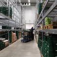 AB Catering i Søften har niendeflest ansatte i Favrskov Kommune viser data fra Virksomhedsnøglen, udviklet af Gravercentret og Teknologisk Institut. Arkivfoto: CSJ