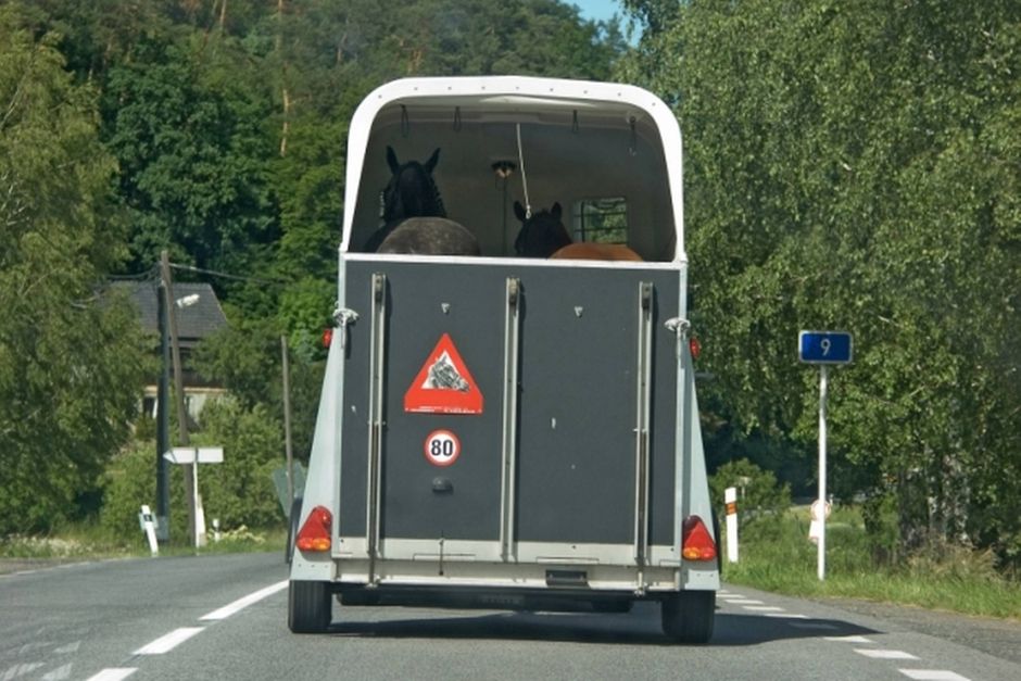 Artiklens øverste billede
