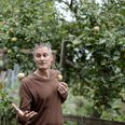 »I min sommerferie fandt jeg Claus Meyers kogebog “Almanak” i en genbrugsbutik. Jeg blev betaget af hans fokus på æblemost. Ikke bare som en frisk, læskende drik, men også som basis for supper og saucer.« Foto: Thomas Borberg/Ritzau Scanpix