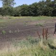 Meget er sket med Ryomgård Bypark, siden dette foto blev taget. Primus motor Peter Møller og mange flere, at langfingrede 'havemænd' løbende har fjernet planter fra stedet. Tyverierne er meldt til politiet. Arkivfoto