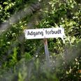 Arkivfoto: Thomas Borberg/Politiken/Ritzau Scanpix