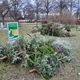 Flere steder i midtbyen kunne man denne jul aflevere sit juletræ til Kredsløb. Pressefoto