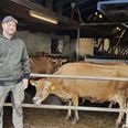 Mikkel Juhl Nielsen, indehaver af Karensmide I/S Følle sammen med sin far Karl Juhl Nielsen, nomineret til ’Årets økologiske håndværker’