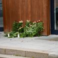 Der blev mandag lagt blomster foran Aarhus Handelsgymnasium, hvor den dræbte gik. Foto: Øxenholt Foto.