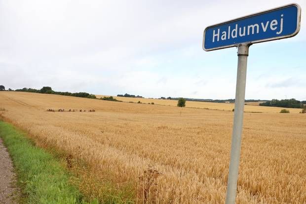 Artiklens øverste billede