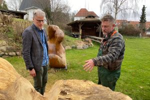 Med lokal kunstners hjælp lever 120 år gammelt egetræ videre som tonstunge skulpturer på Hadsten Højskole. 